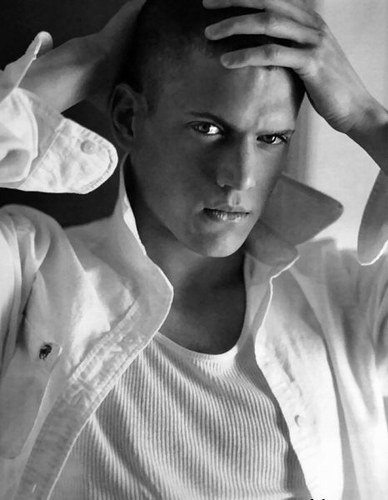 wentworth miller